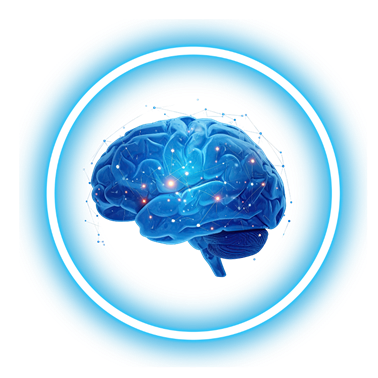 Smarto Brain Skills Olympiad Hero Image